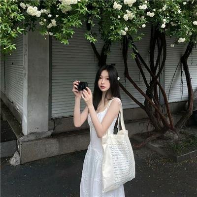 年度鸟事